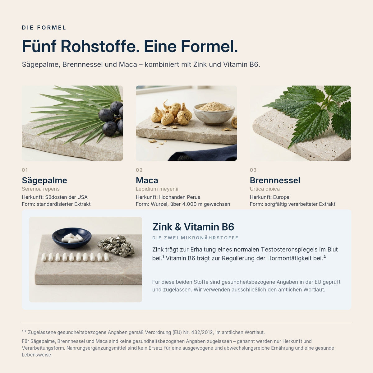 Die fünf Rohstoffe von Man Power+: Sägepalme, Maca und Brennnessel mit Herkunft und Verarbeitungsform sowie Zink und Vitamin B6