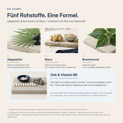 Die fünf Rohstoffe von Man Power+: Sägepalme, Maca und Brennnessel mit Herkunft und Verarbeitungsform sowie Zink und Vitamin B6